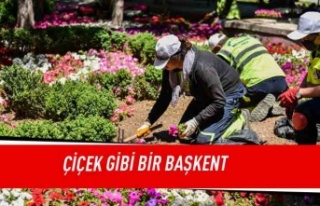 Çiçek gibi bir Başkent