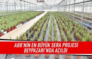 ABB en büyük sera projesi Beypazarı'nda açıldı