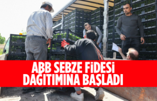 ABB SEBZE FİDESİ DAĞITIMINA BAŞLADI