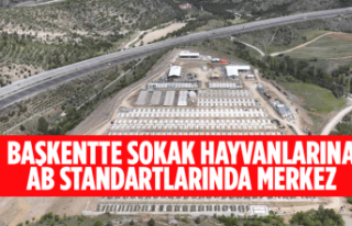 BAŞKENTTE SOKAK HAYVANLARINA AB STANDARTLARINDA MERKEZ