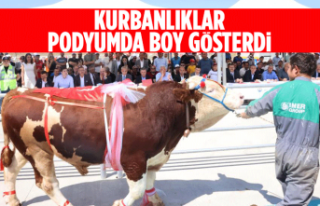 Kurbanlıklar podyumda boy gösterdi