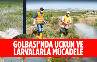 Gölbaşı Belediyesi'nden uçkun ve larva ilaçlaması