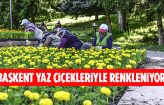 BAŞKENT YAZ ÇİÇEKLERİYLE RENKLENİYOR