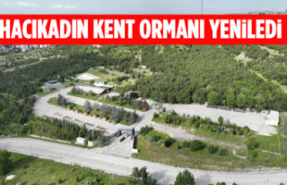 HACIKADIN KENT ORMANI YENİLEDİ