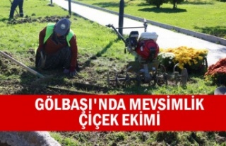 Gölbaşı'nda mevsimlik çiçek ekimi