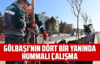 GÖLBAŞI’NIN DÖRT BİR YANINDA HUMMALI ÇALIŞMA