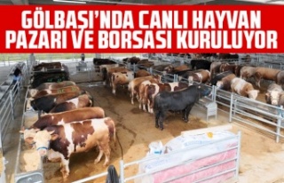 GÖLBAŞI’NDA CANLI HAYVAN PAZARI VE BORSASI KURULUYOR