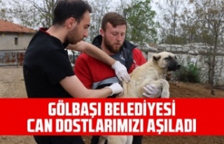 *GÖLBAŞI BELEDİYESİ CAN DOSTLARIMIZI AŞILADI*