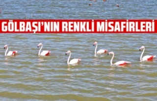 GÖLBAŞI’NIN RENKLİ MİSAFİRLERİ