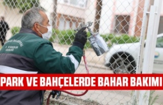 PARK VE BAHÇELERDE BAHAR BAKIMI