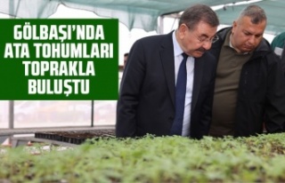 Ata tohumlar toprakla buluştu