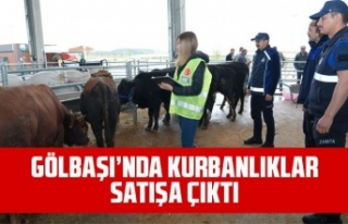 Gölbaşı'nda kurbanlıklar görücüye çıktı