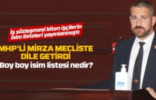 Mirza: 'Boy boy isim listesi nedir?'