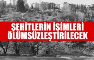 “DIŞİŞLERİ ŞEHİTLERİ ANITI” PROJESİNİ...