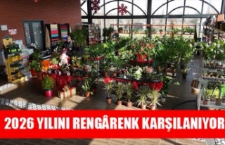 YENİ YILIN RENKLERİ ABB BİTKİ EVLERİNDE VATANDAŞLA...