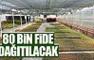 80 bin fide dağıtılacak!