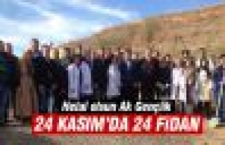 Ak Gençlik 24 Kasım'da 24 fidan dikti