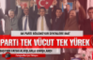 AK PARTİ TEK VÜCUT, TEK YÜREK