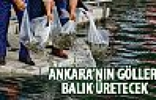 Ankara'nın gölllerine balık bırakıldı