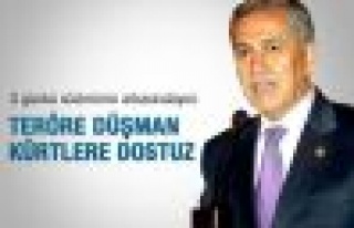 Arınç: Teröre düşman Kürt halkına dostuz