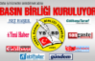 Basın Birliği kuruluyor