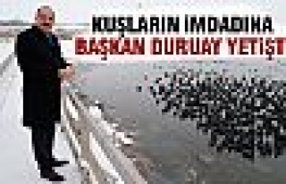 Başkan Duruay kuşlara yem attı