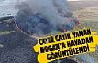 Başkan Duruay yangın alanında incelemelerde bulundu
