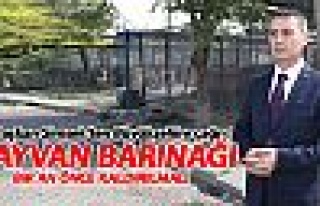 Başkan Şimşek: Hayvan barınağı bir an önce...