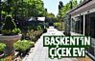 Başkent'in çiçek evi!