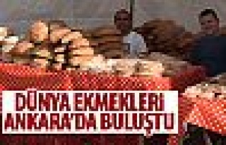 Başkent'te ekmek festivali