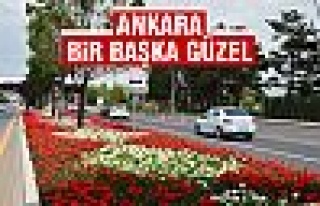 Büyükşehir dört bir yanı çiçeklerle süsledi