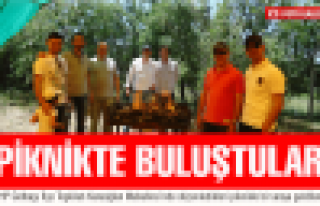 CHP'LİLER PİKNİKTE BULUŞTU