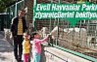 Evcil Hayvanlar Parkı ziyaretçilerini bekliyor