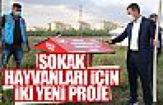 Gölbaşı Belediyesi sokak hayvanları için yeni...