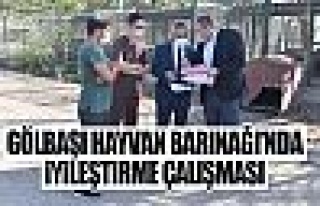 Gölbaşı hayvan barınağına iyileştirme çalışması