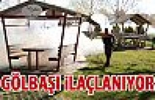 Gölbaşı'nda ilaçlama çalışmaları başladı