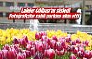 Gölbaşı'nda lale mevsimi