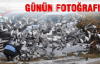 Günün Fotoğrafı