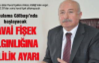 Havai fişek çılgınlığına valilik ayarı