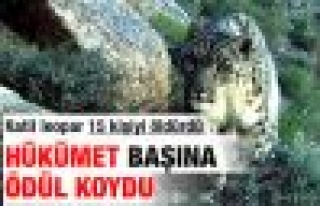 Hükümet leoparın başına ödül koydu 