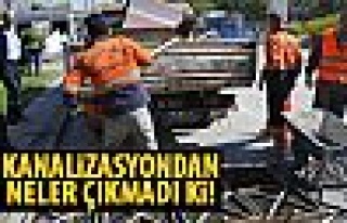 Kanalizasyonlardan çıkan şaşırtıyor