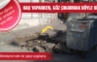 Kaş yaparken, göz çıkarmak böyle bir şey...