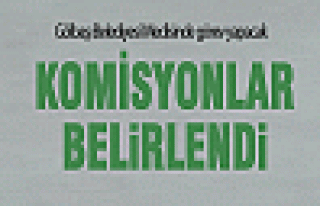 Komisyonlar belli oldu