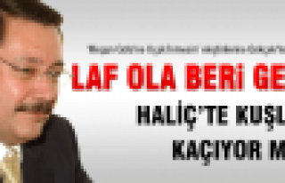 Laf ola beri gele...