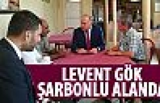 Levent Gök şarbonlu alanı inceledi