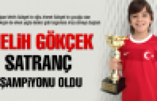 Melih Gökçek, satranç şampiyonu oldu