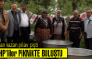 MHP'liler piknikte buluştu