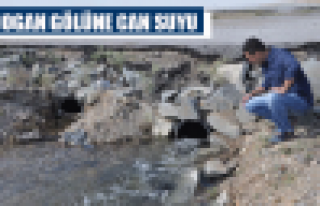 Mogan Gölü'ne 'can suyu' geldi