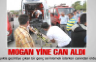 Mogan yine can aldı