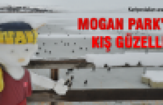 Mogan'da kar manzaraları